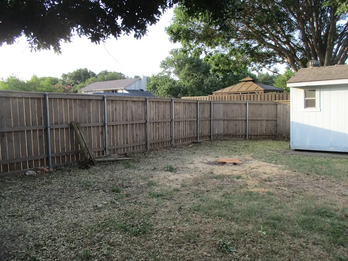 Cleared yard after professional tree removal in Port Hadlock
