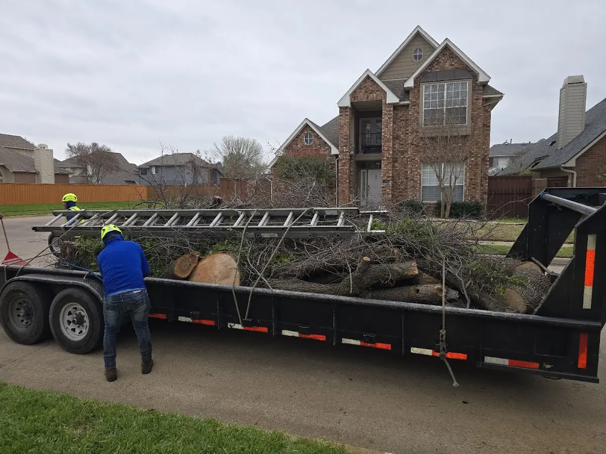 Expert Tree Fertilization with proper safety equipment in Port Hadlock